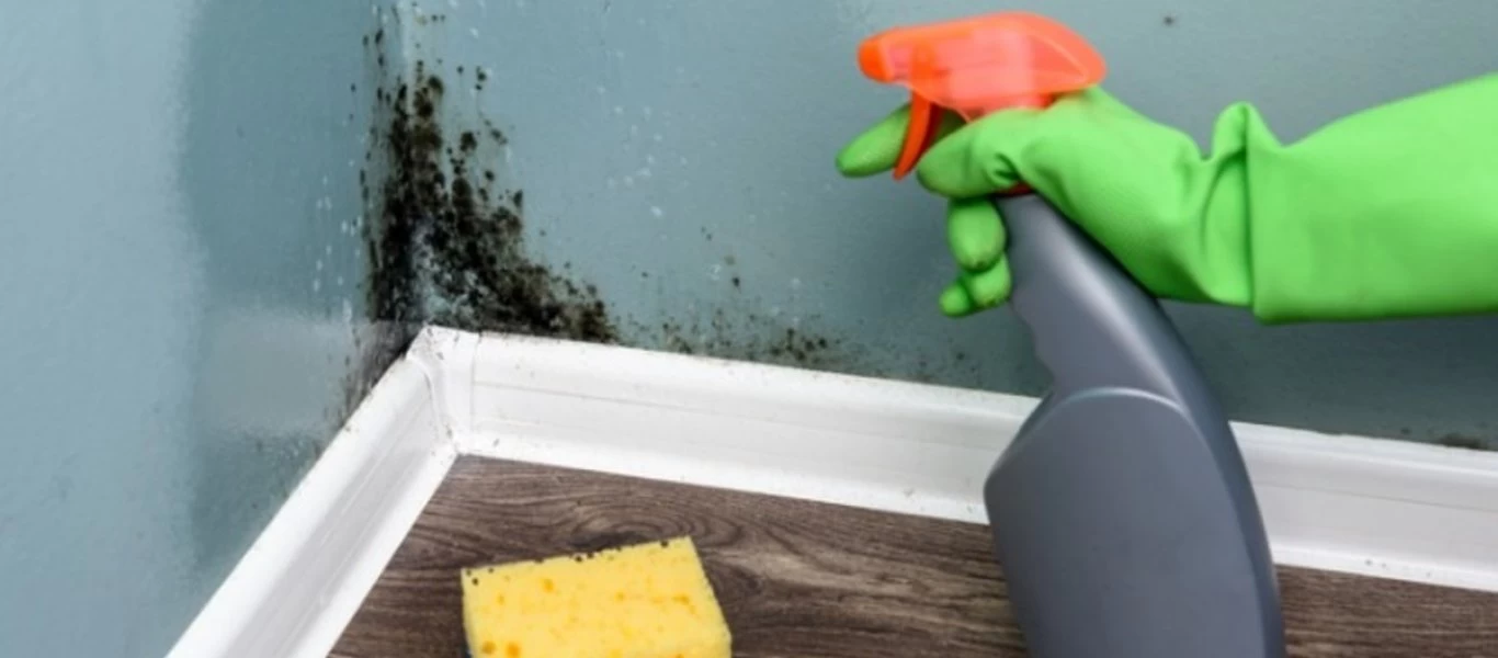 Όταν η μούχλα μπορεί να σε αρρωστήσει